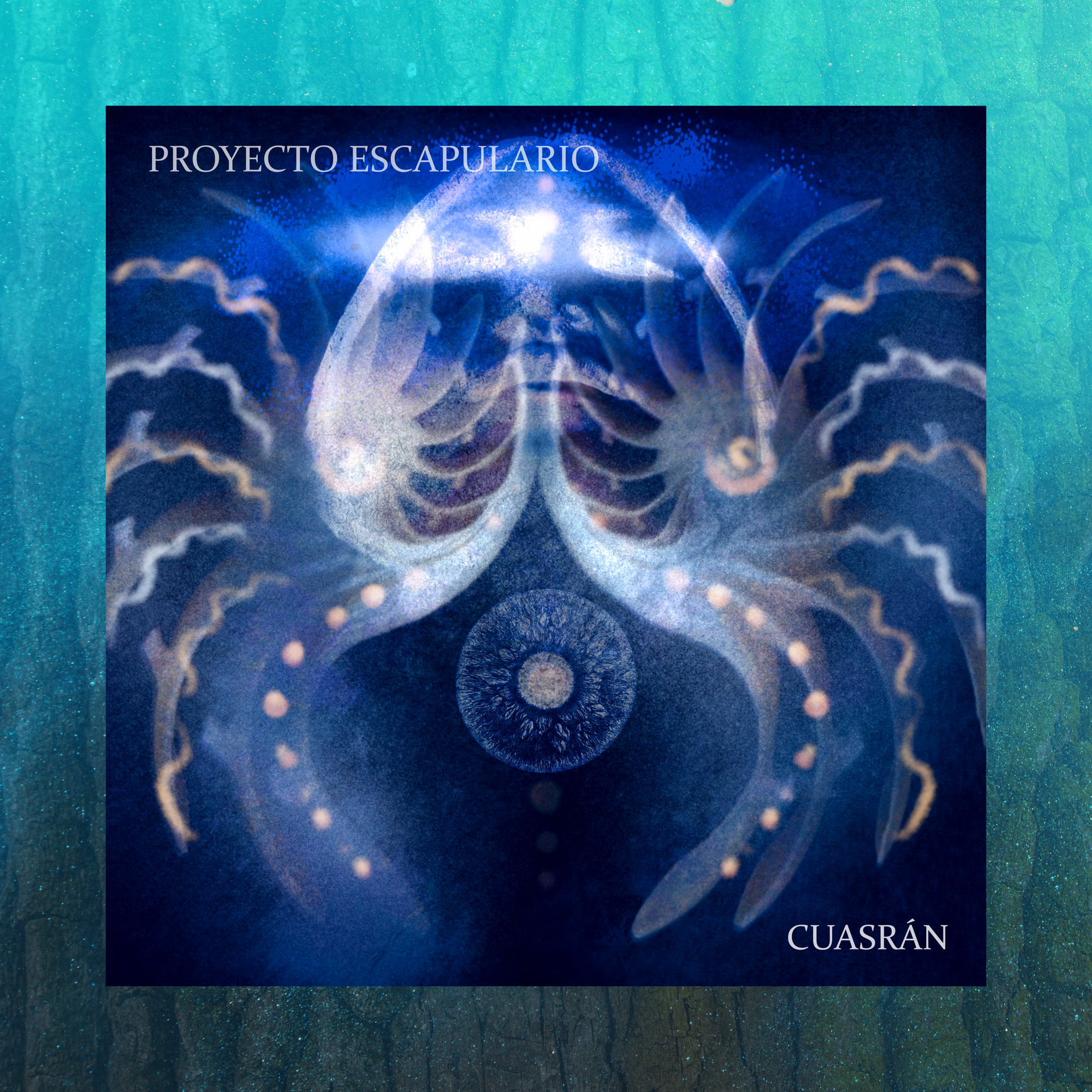 PROYECTO ESCAPULARIO