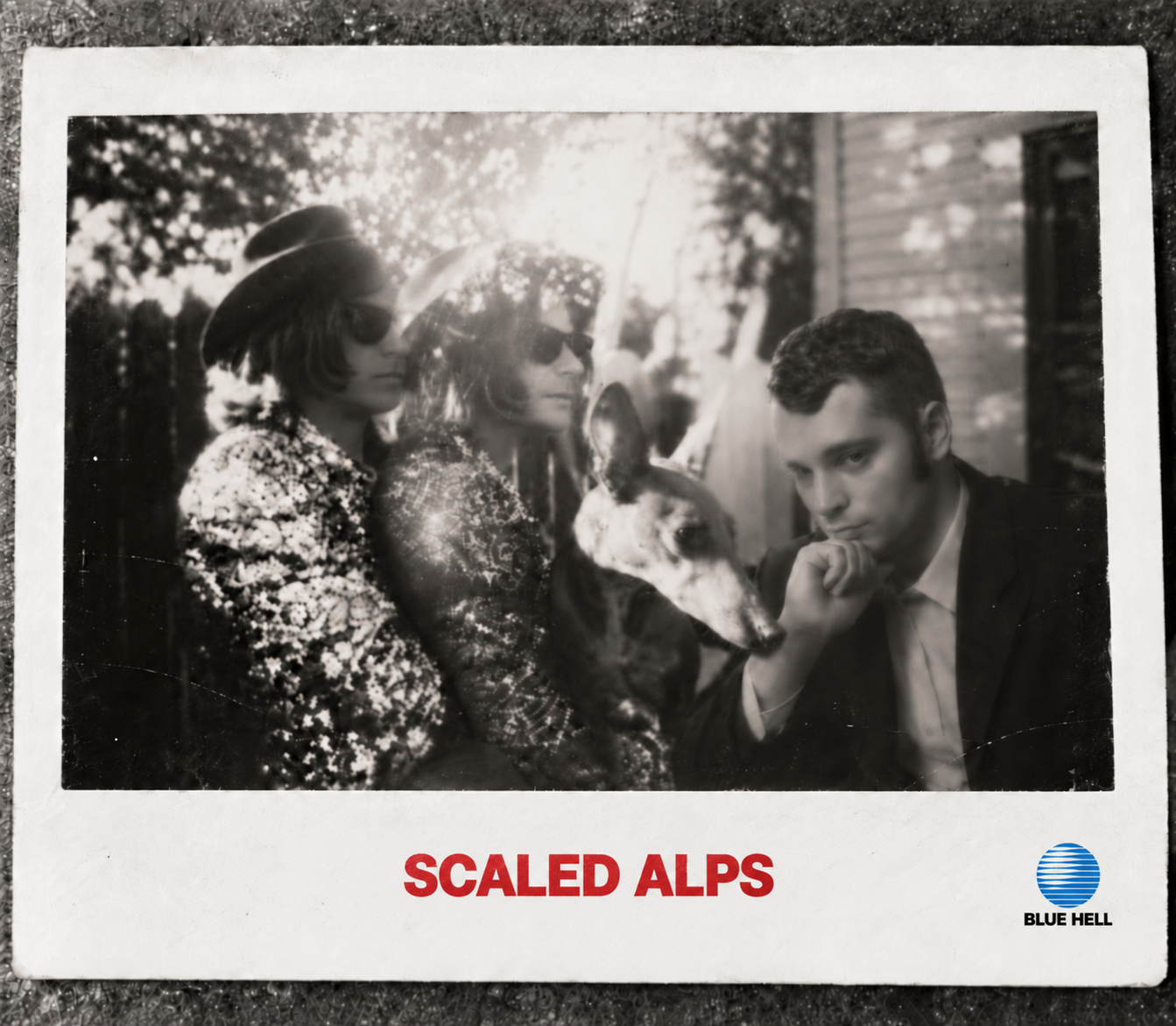 SCALED ALPS